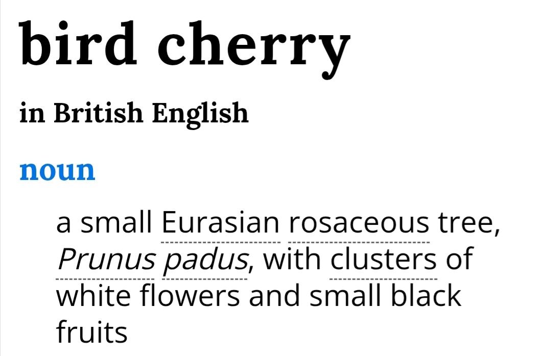 Определение из англо-английского словаря