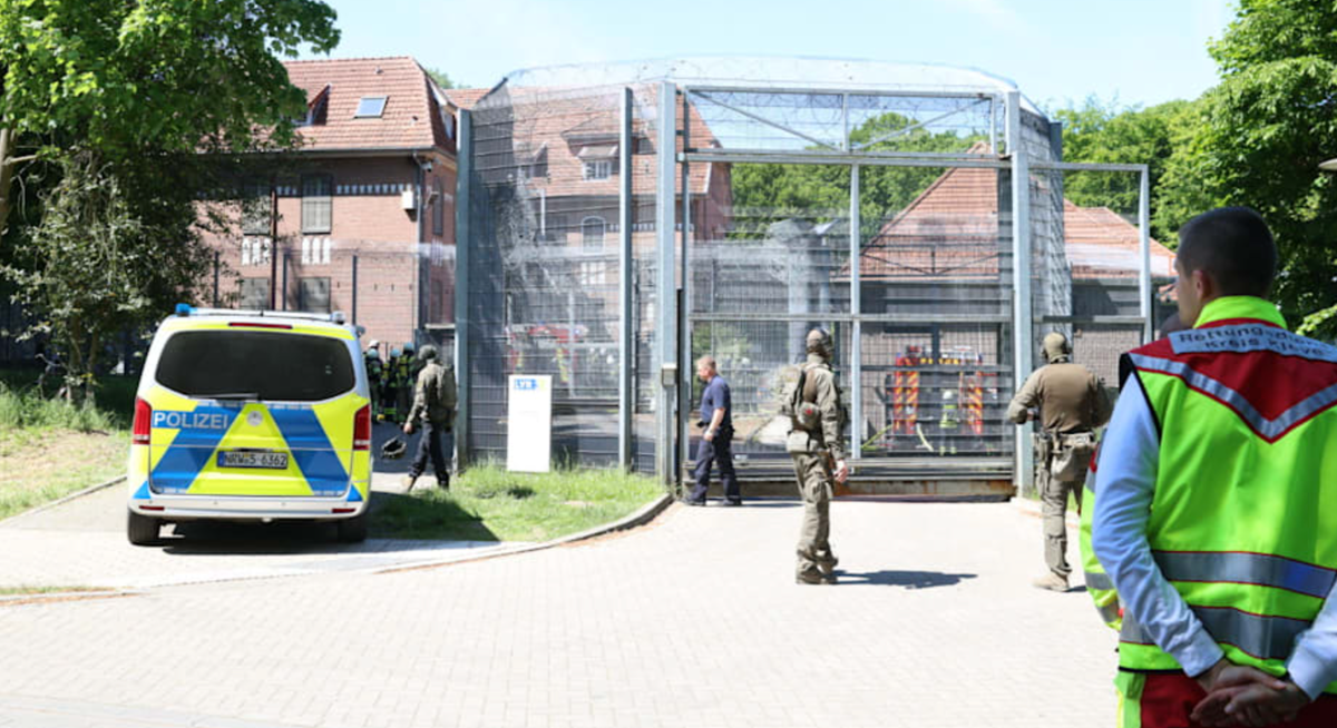     / Источник: ©bild.de