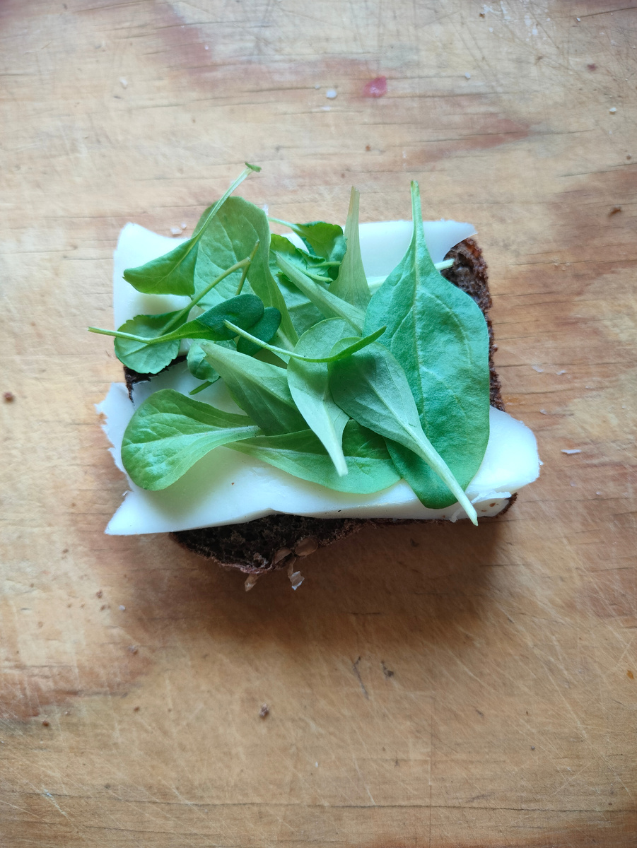 Фото автора. Бутерброд