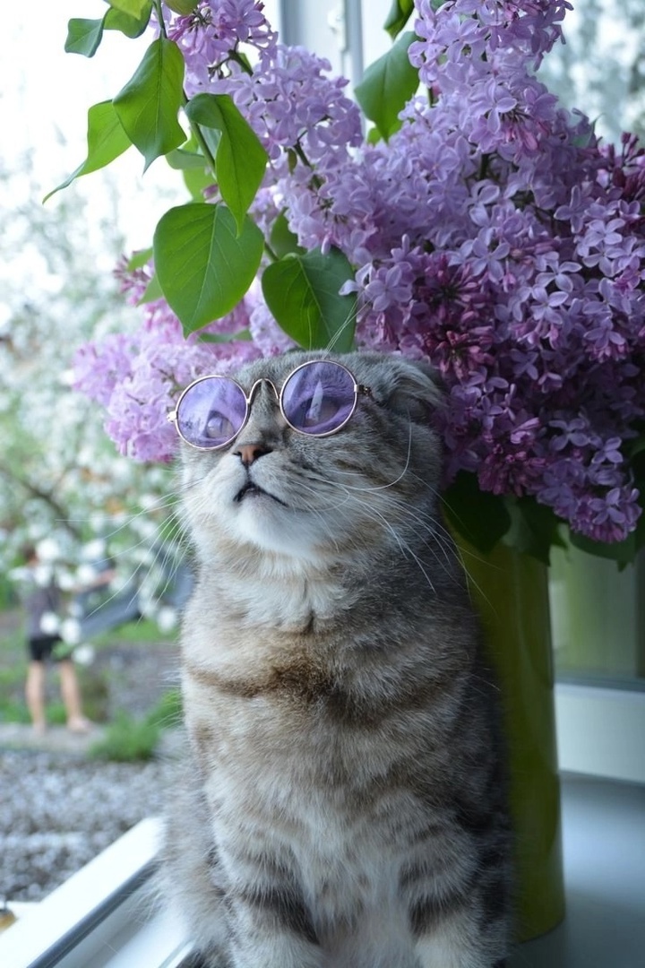 иллюстрация из яндекс картинки.