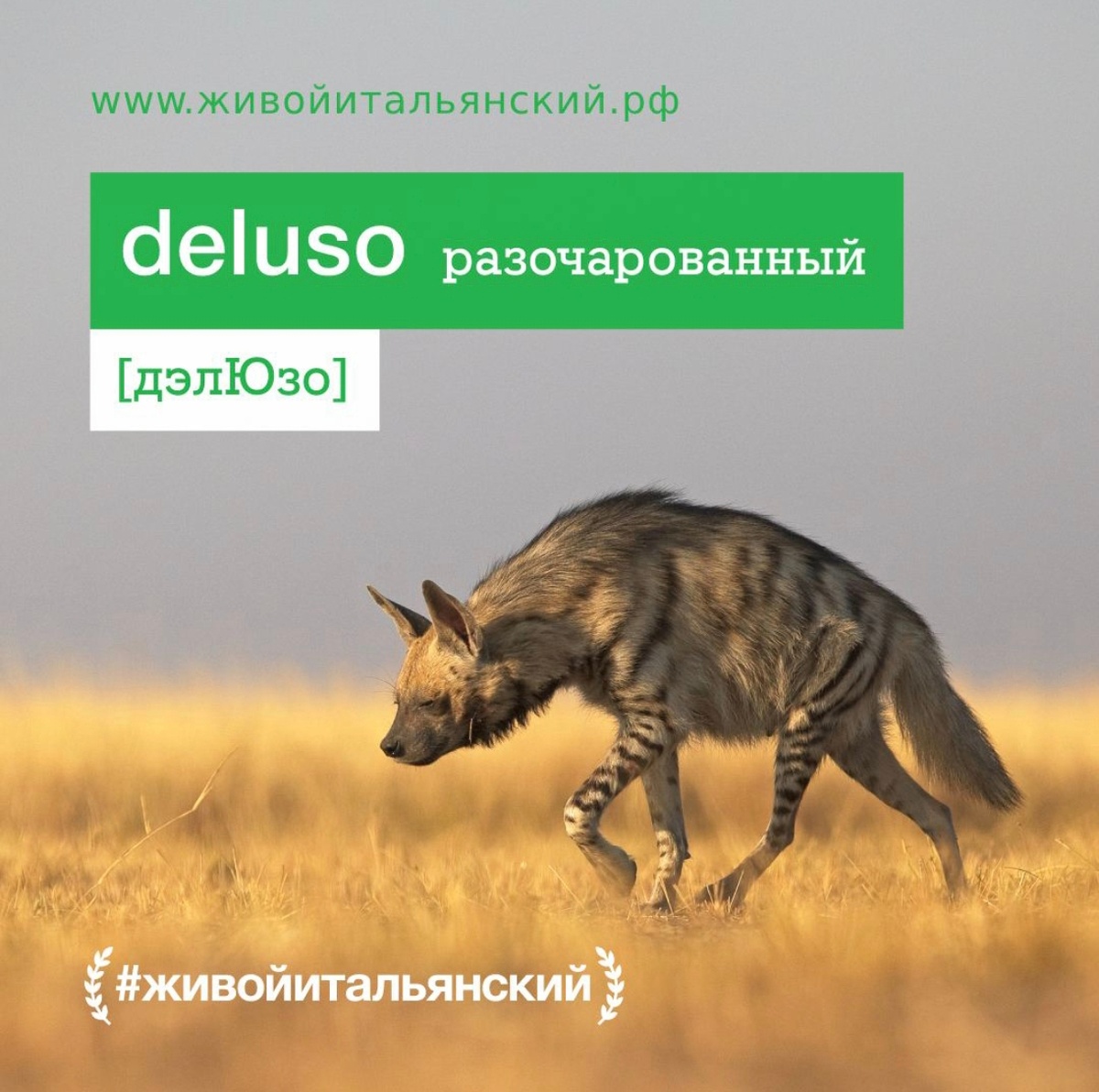 Фото взято с обучающего ТК Живой итальянский. Забавный микс получился.