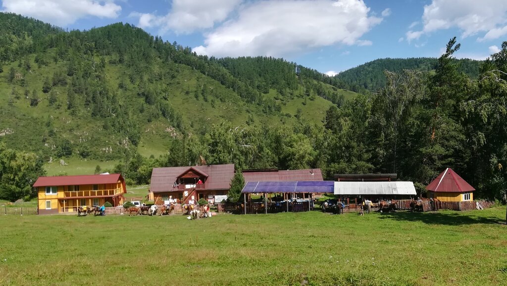 Вот такие они, конные турбазы в горах