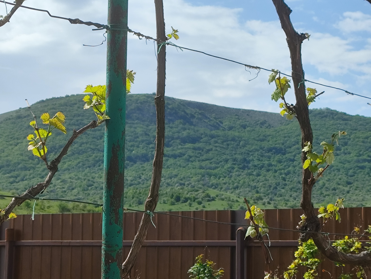 Горы под солнцем