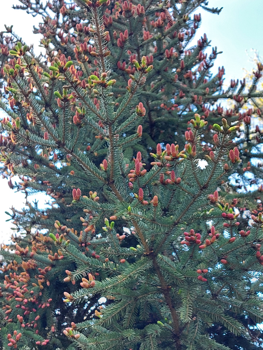 Какие цвета!