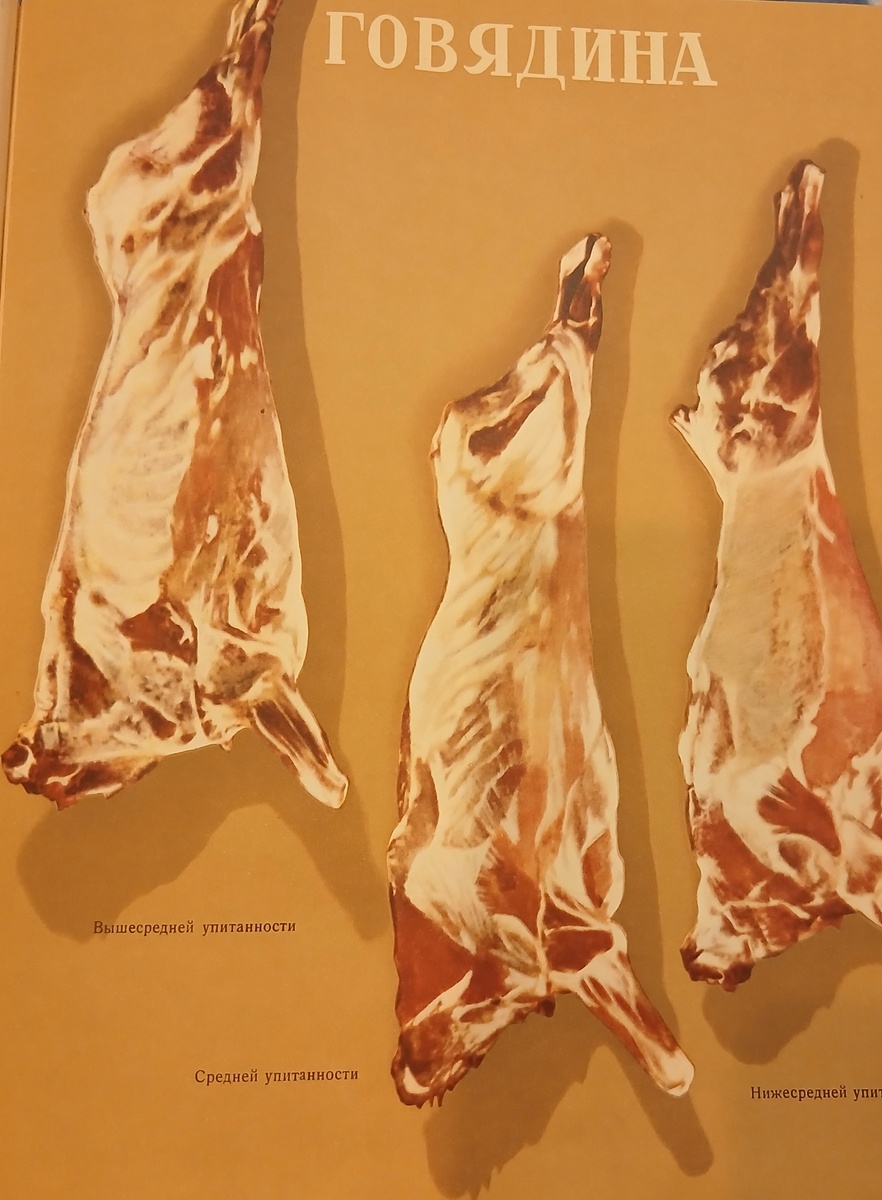 Туши говядины
