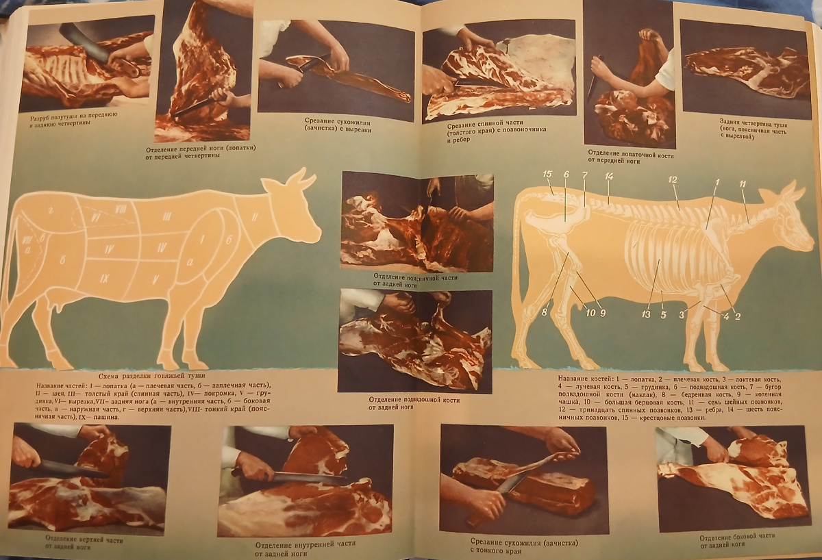 Схема разделки говяжей туши и название костей