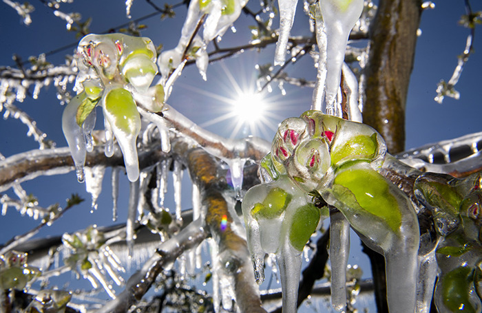    MARTIAL TREZZINI/EPA/TASS