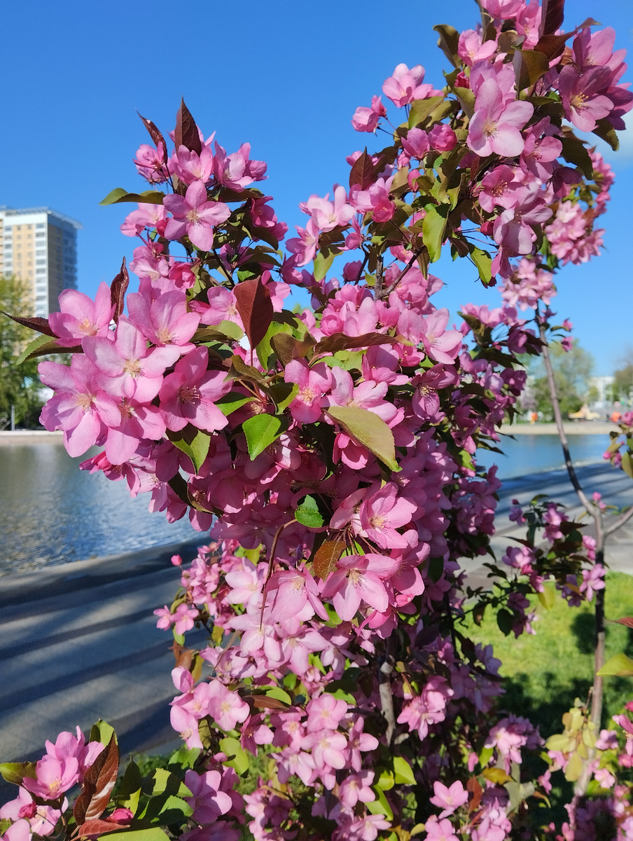 Фото автора 