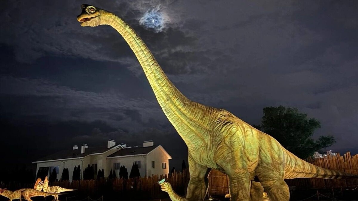     Источник: ЦПКиО