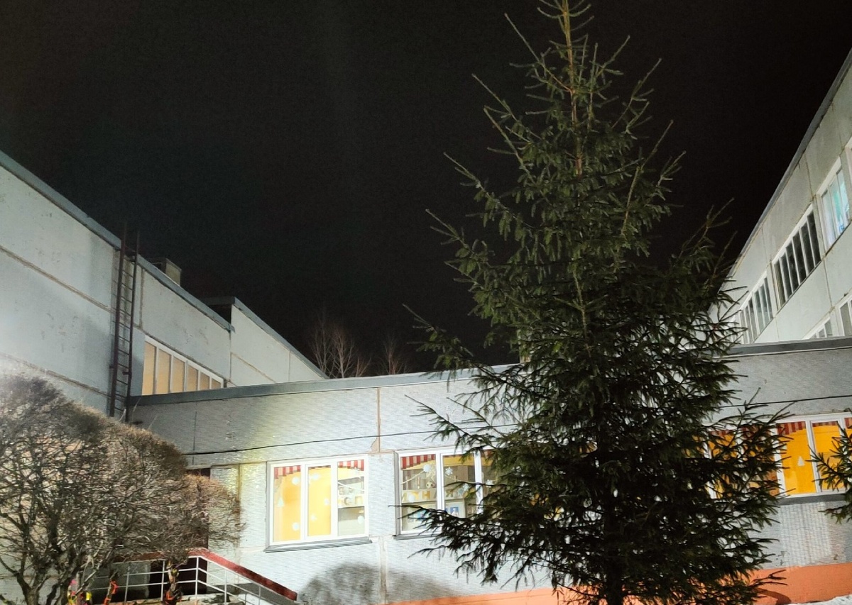 Фото: МК Новосибирск