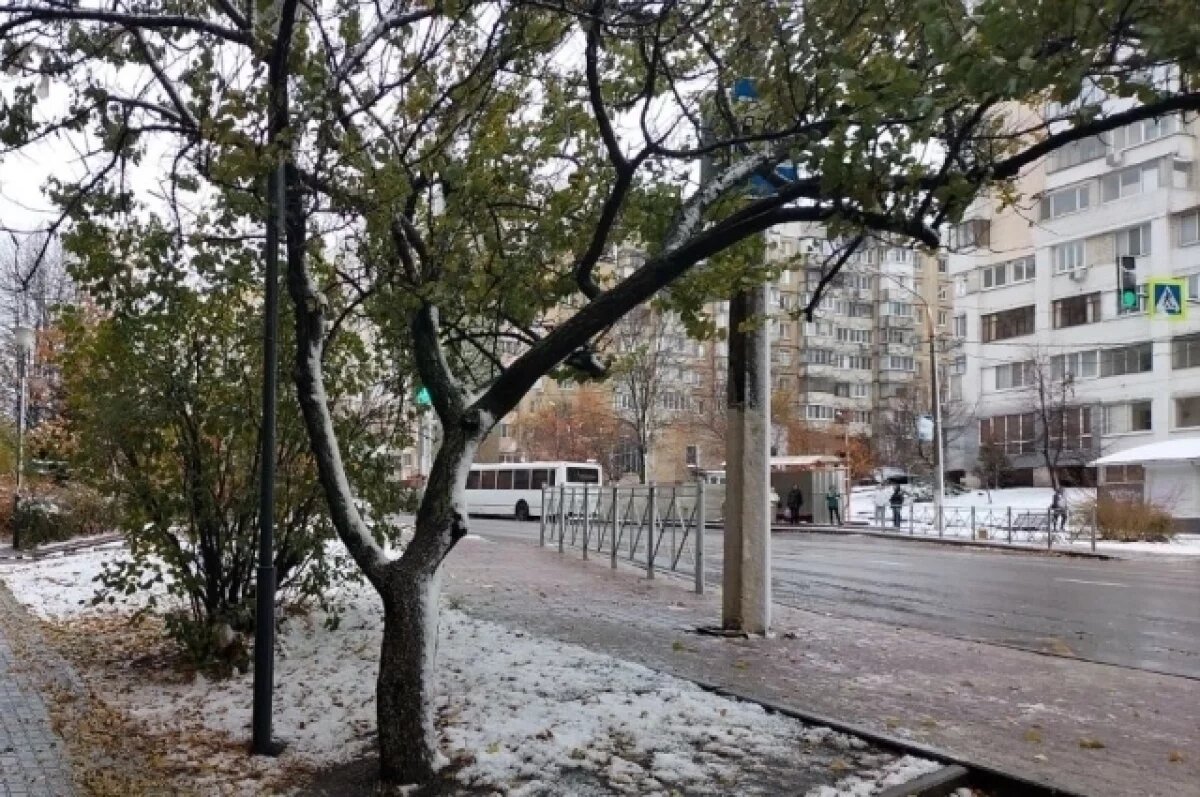    На Белгородчине ожидаются заморозки 11 мая