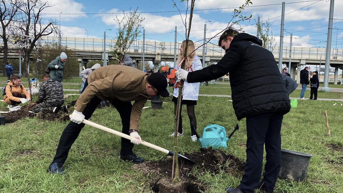    Фото: t.me/krgv_live