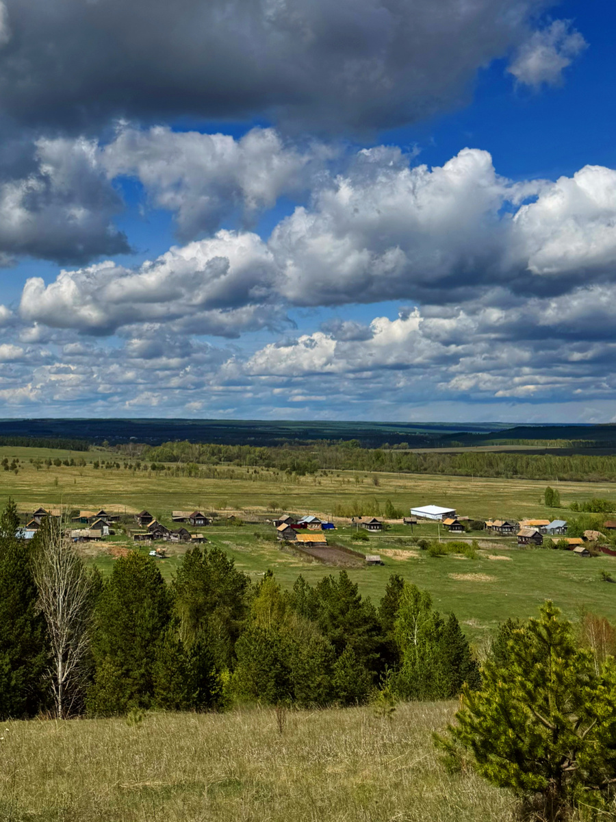 Деревня Скрипино состоящая из одной улицы