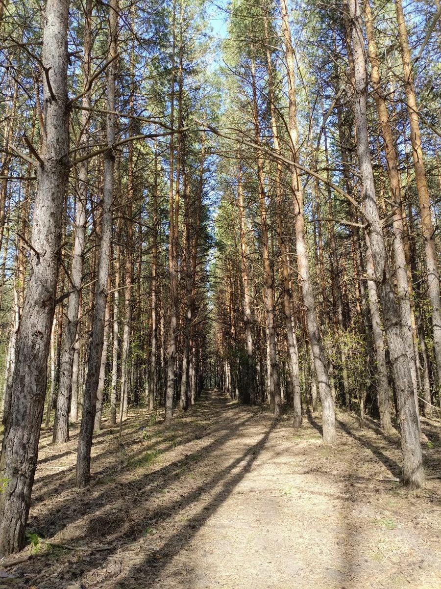 Вот тут меня комары закусали 