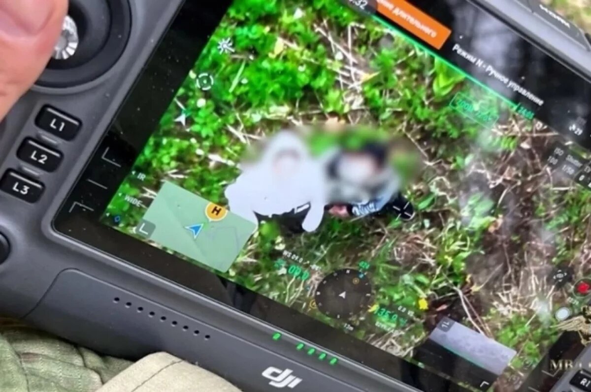    Подростков удалось обнаружить с помощью беспилотника /кадр из видео.