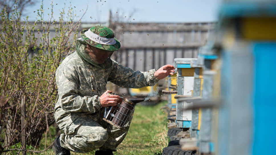 Фото: Влад Некрасов / Коммерсантъ