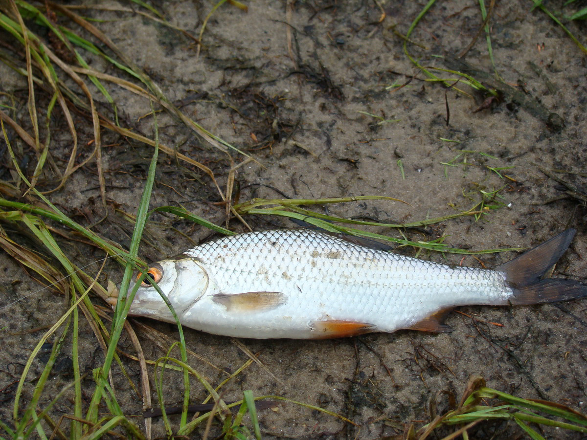 Фото взято из открытых источников.