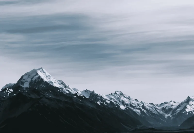 Фотограф: Tyler Lastovich