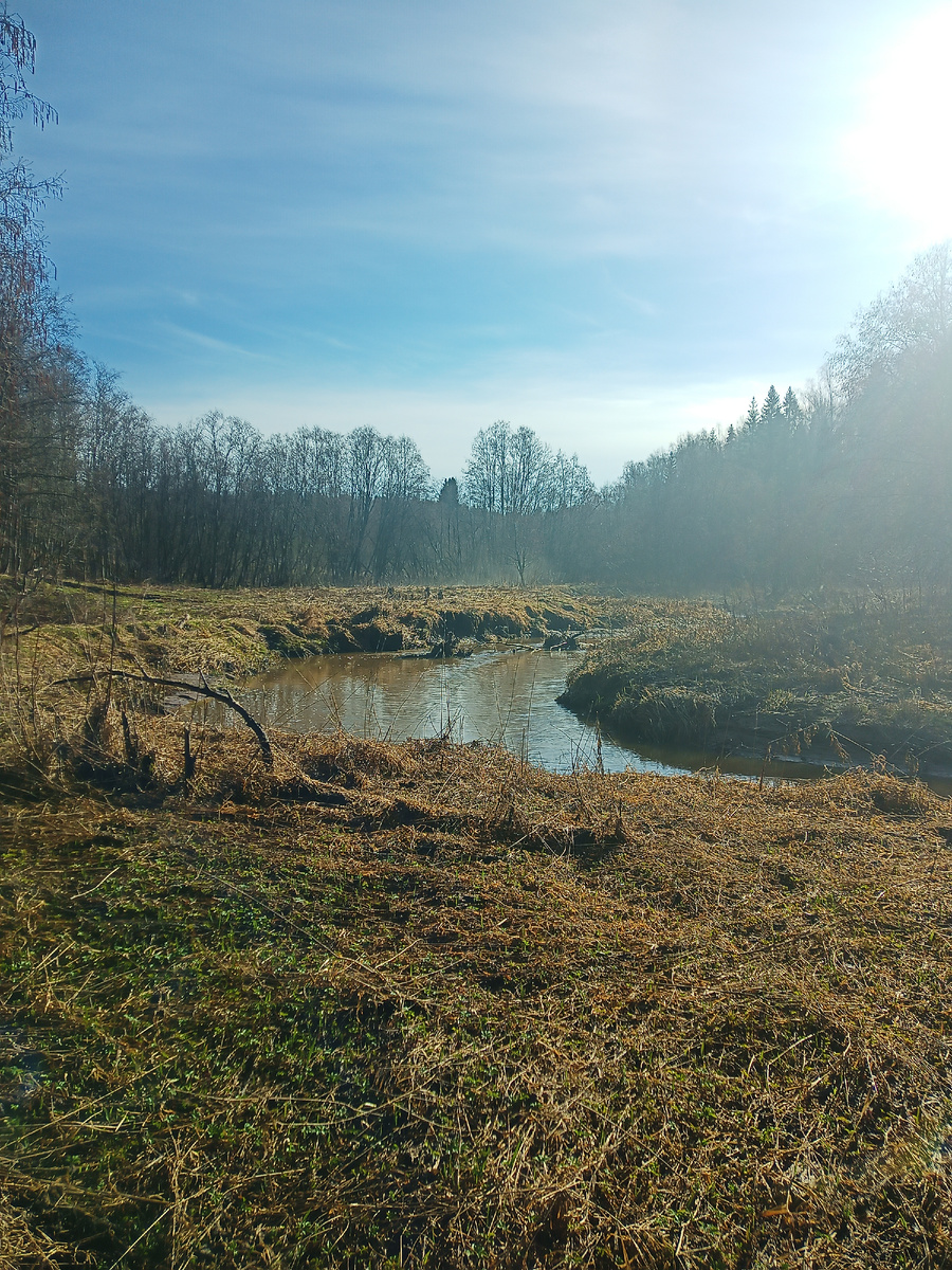 Заветная речушка.