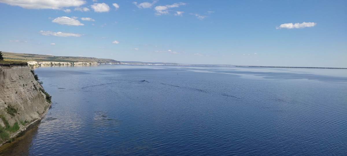 Яндекс Картинки.