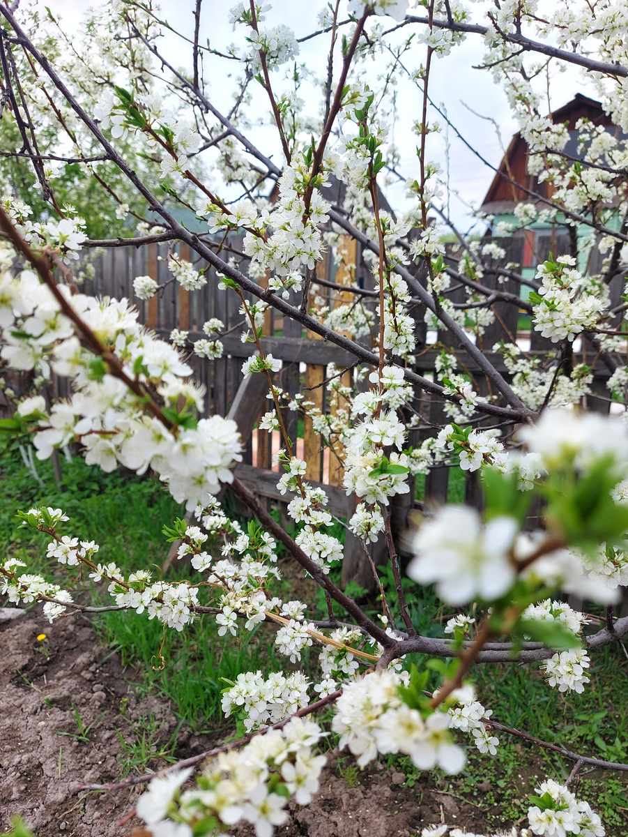 Тоже жужжит