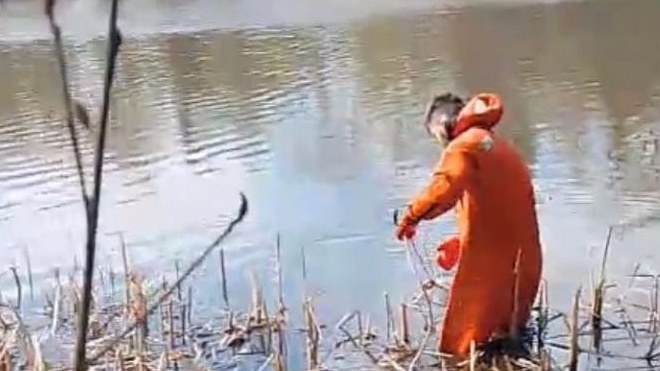 Фото: t.me/Megapolisonline