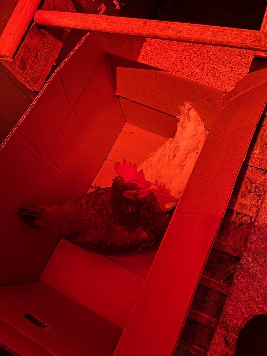 Листайте вправо