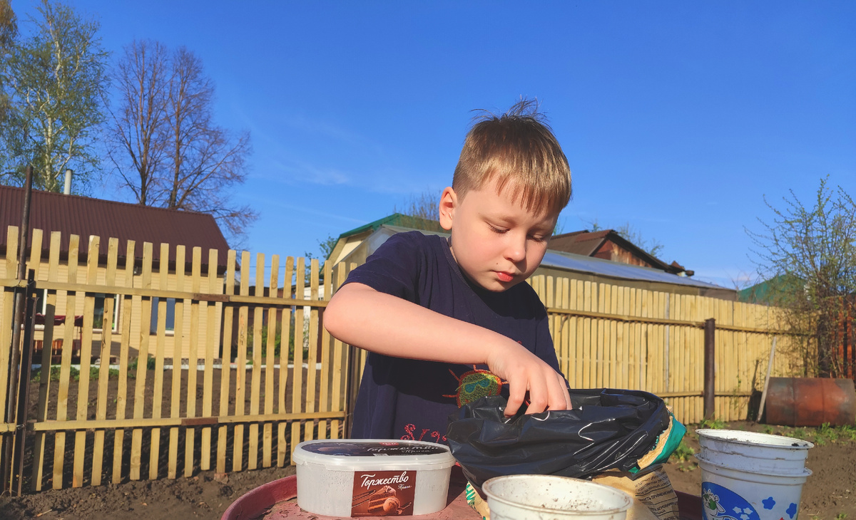 Паша посеял арбуз. Огородный сезон ведь начался уже давно, ещё в феврале