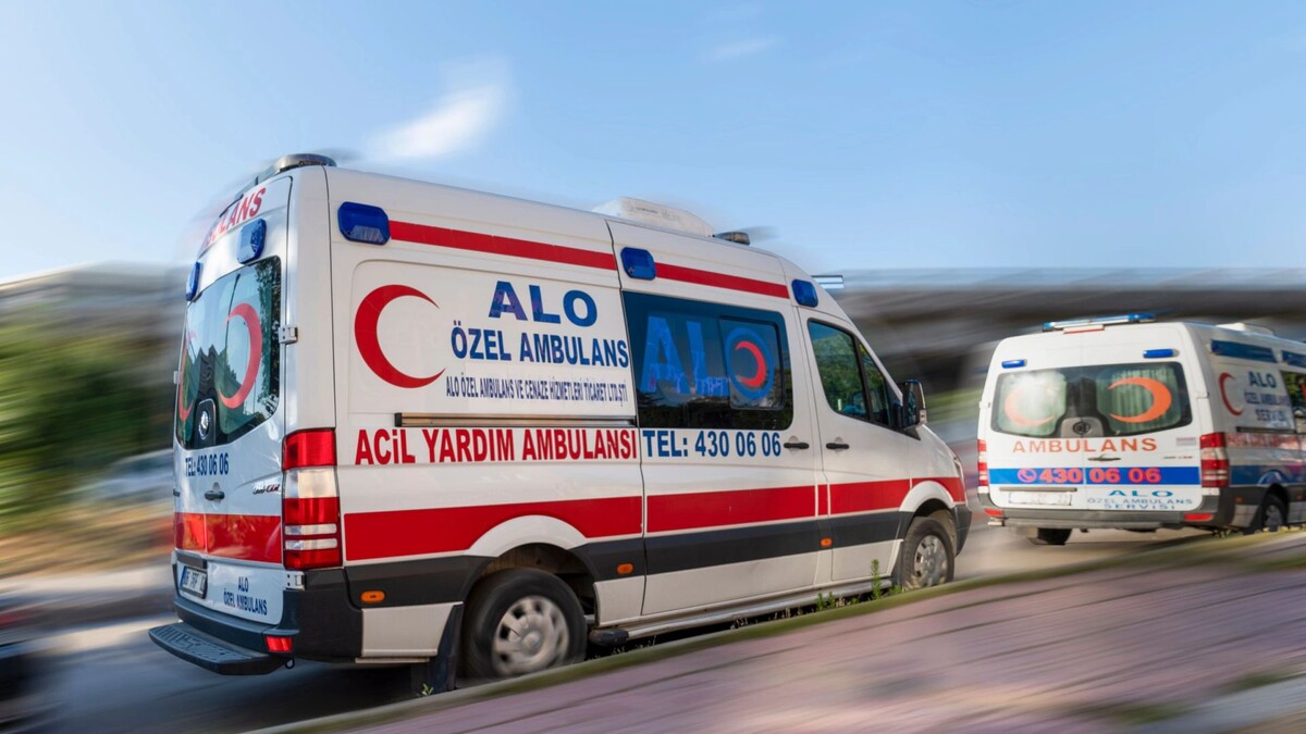    Фото: Bilal Kocabas/Shutterstock/Fotodom