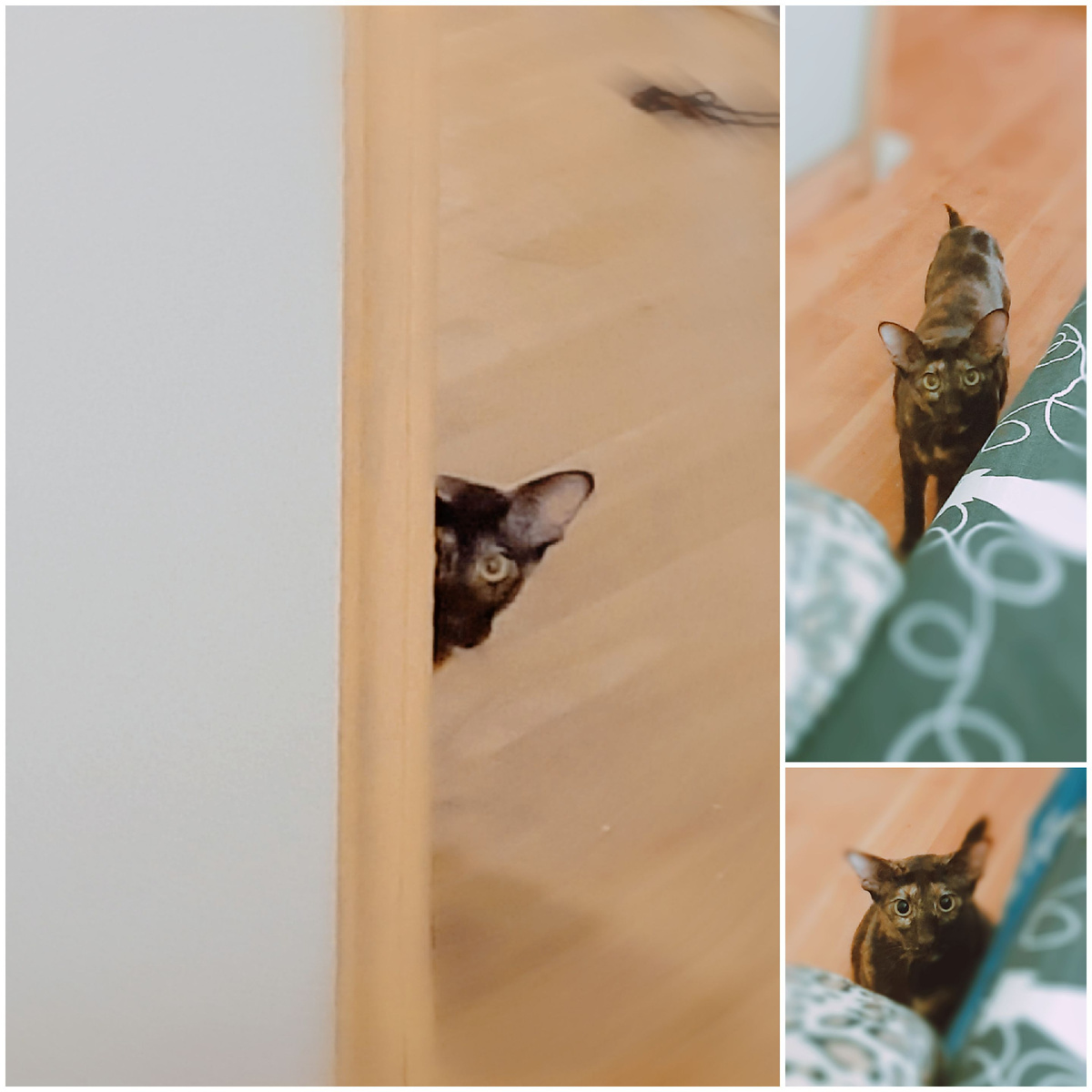 За вами ведётся скрытое наблюдение. А вот уже прямо сейчас вам ... ццц