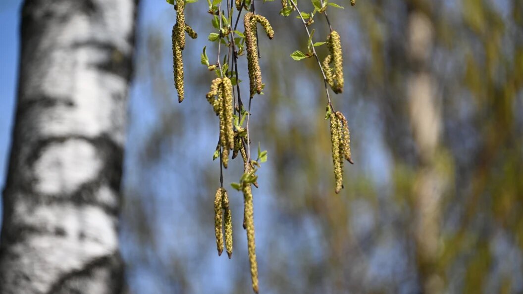    Фото: Komsomolskaya Pravda/Globallookpress