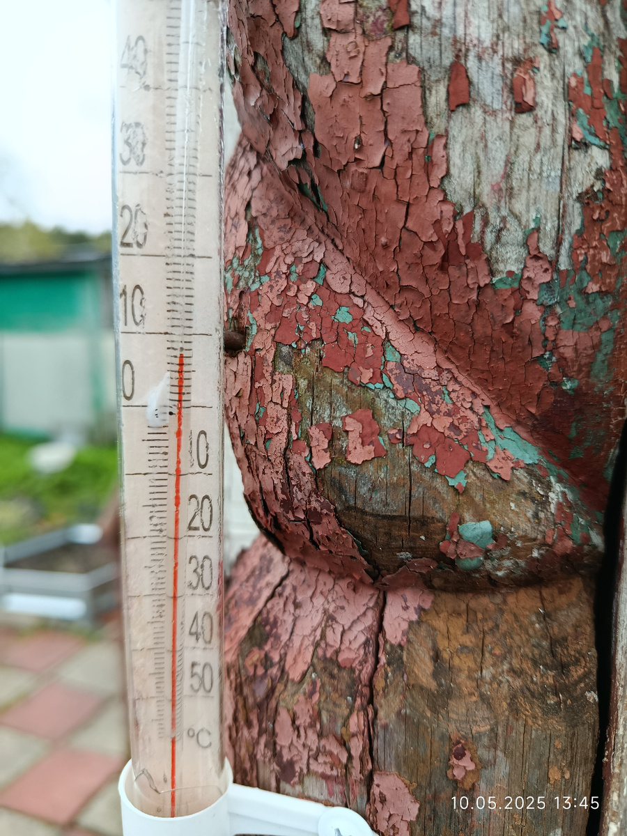 Плюс 8. Время на фото, 13:45.