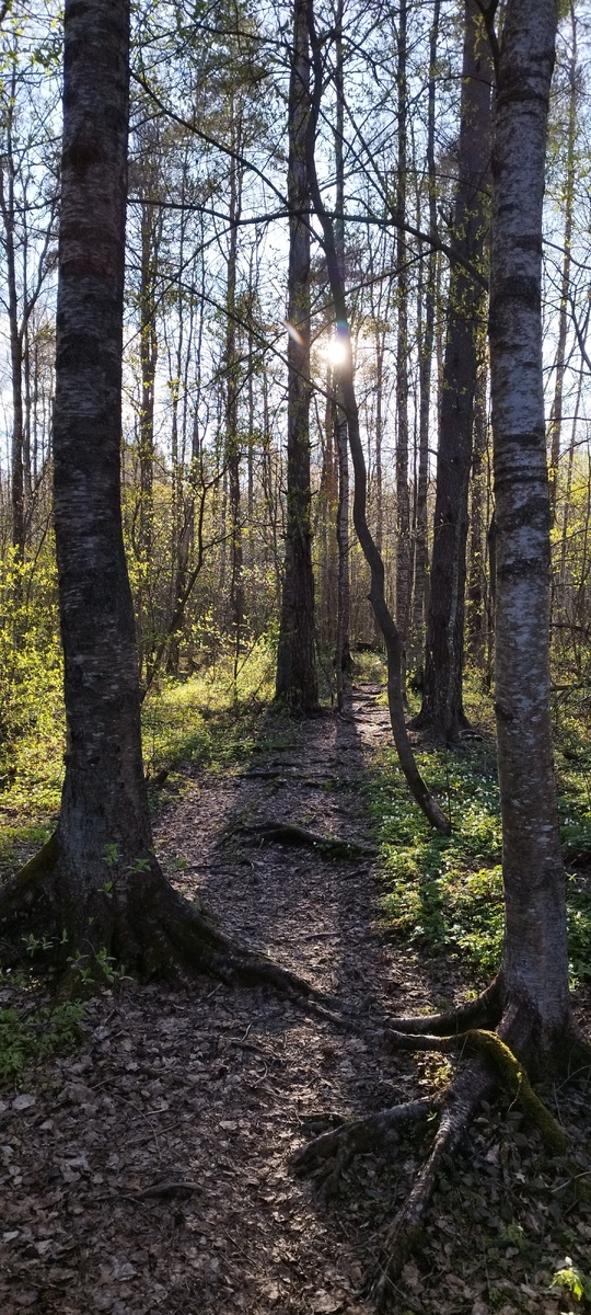 На даче хорошо, но пока холодно