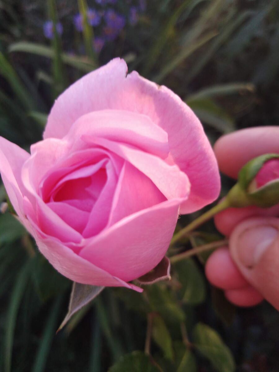 фото Татьяны