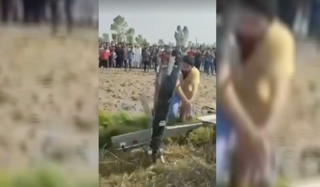     / Источник: ©кадр из видео