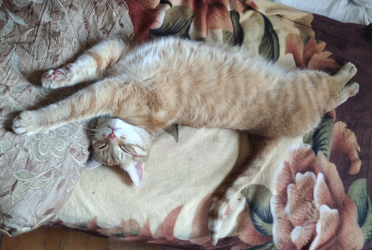 Личное фото