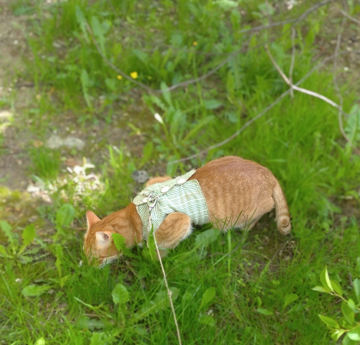 Личное фото