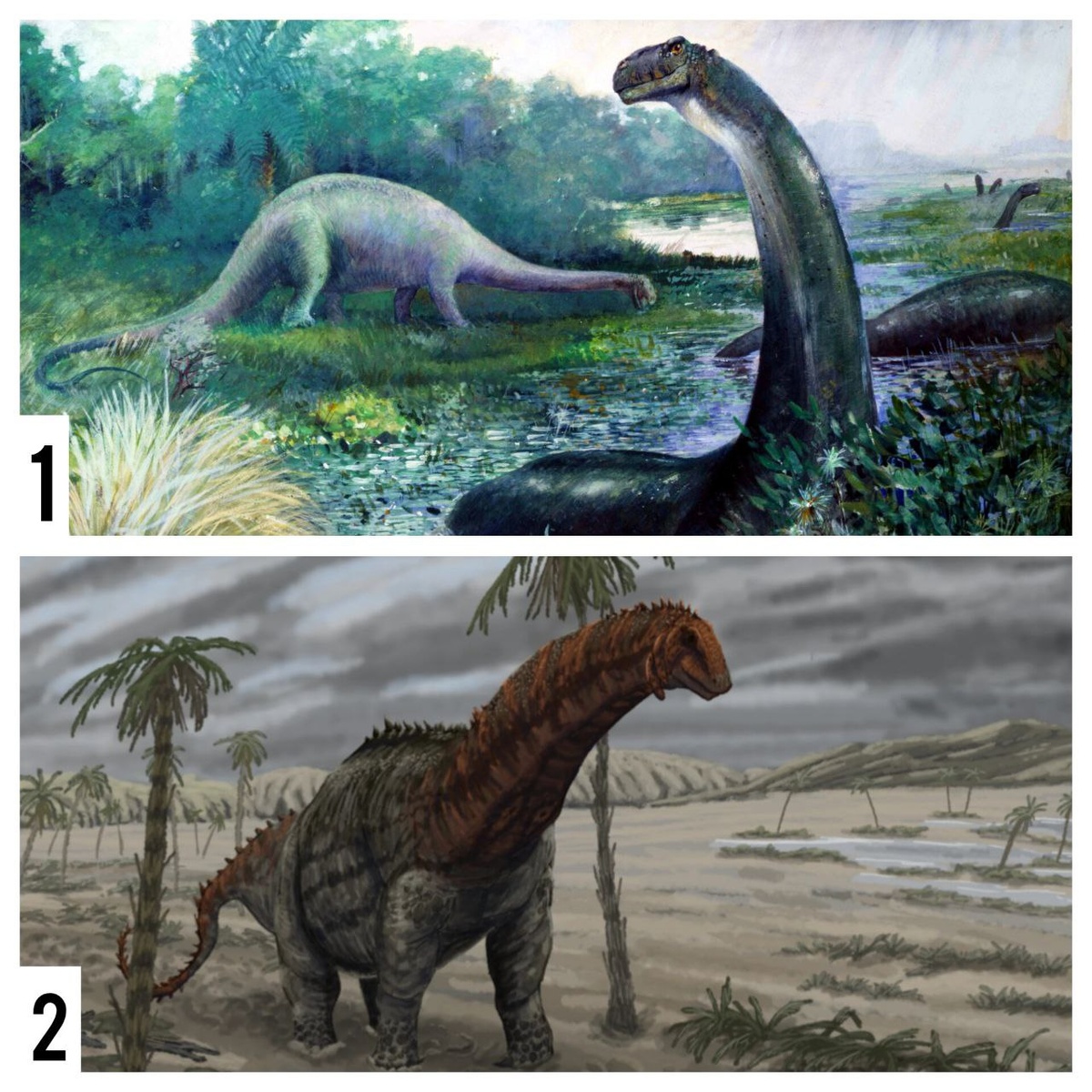 1: устаревшая реконструкция бронтозавра.2: современная реконструкция бронтозавра.