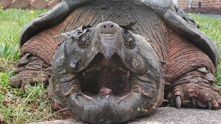    COVER Images/Keystone Press Agency/Global Look Press