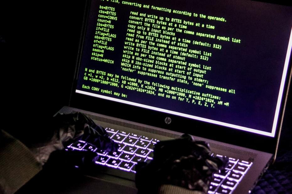    Сергей Лантюхов/NEWS.ru