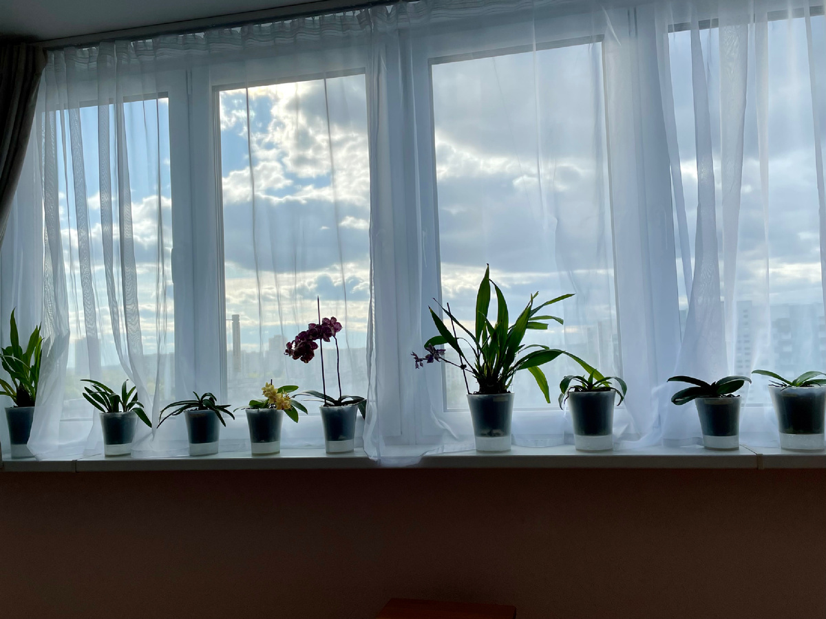 На лоджии по центру