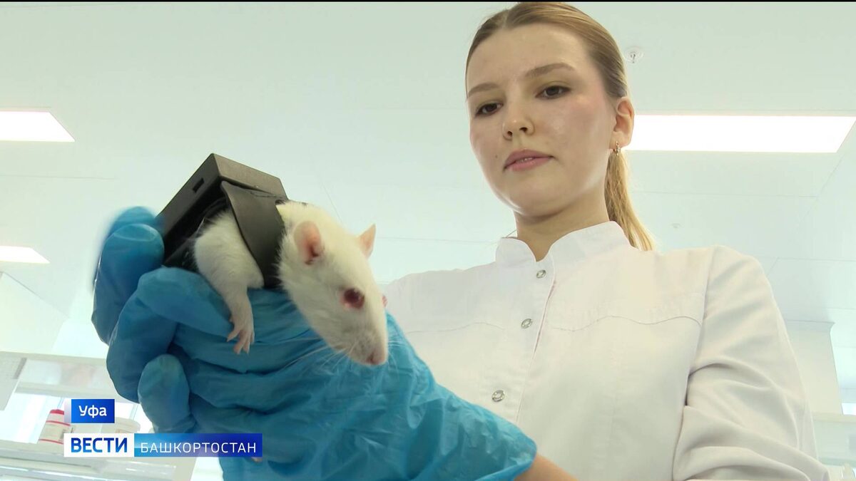    Уфимские ученые-медики создали уникальную молекулу, способную лечить от инфаркта миокарда