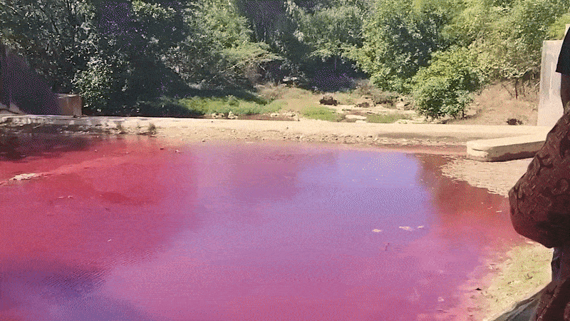 Нравится Формат? Поддержи Канал Лайком и напиши какой эпизод понравился больше всех
