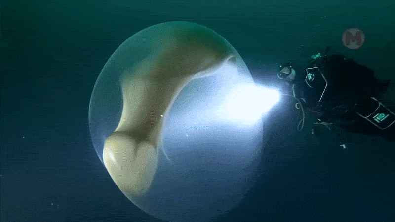 Нравится Формат? Поддержи Канал Лайком и напиши какой эпизод понравился больше всех
