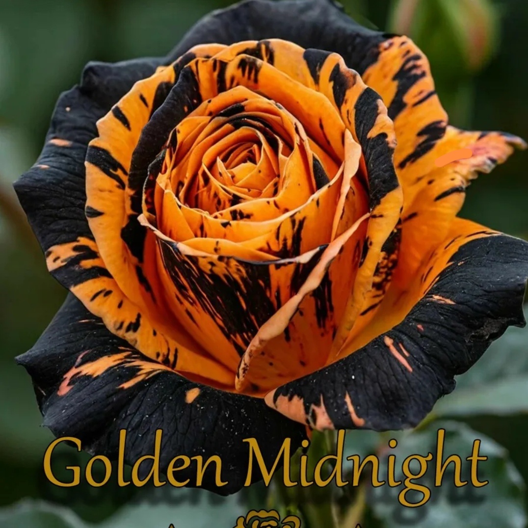 Фото с сайта маркетплейса