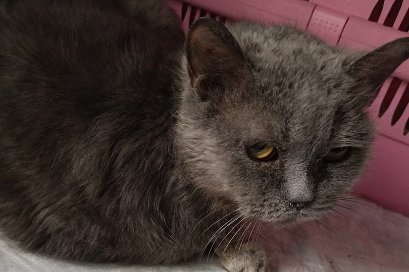 Тося не злая. Просто она больше никому не верит💔