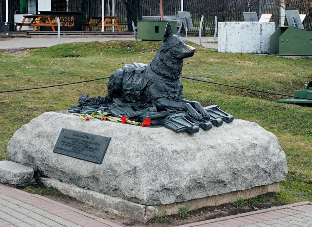 Памятник фронтовой собаке.