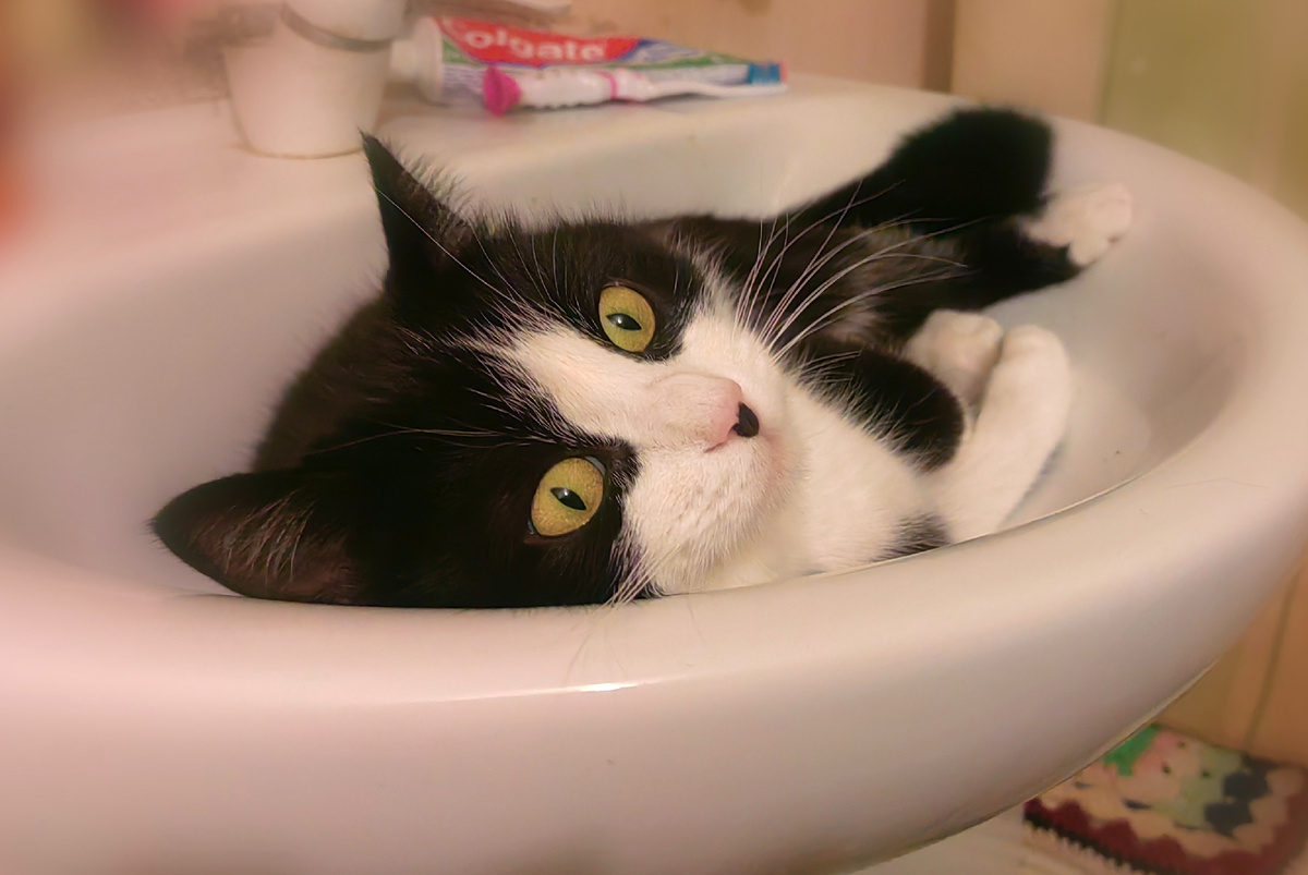 Наталья Николаевна 