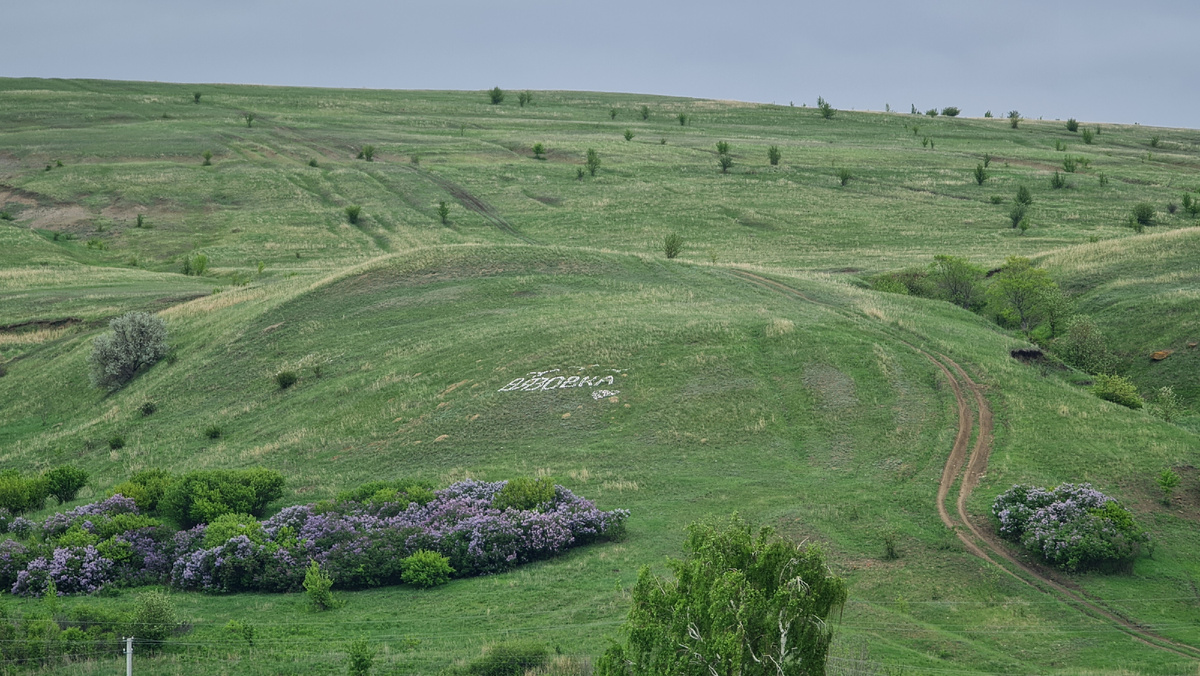 Фото автора 10.05.2025
