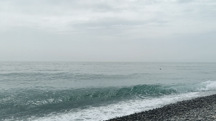 ФТ Сириус, Имеретинская набережная, май 2025 г.